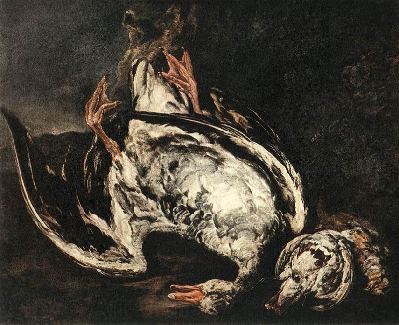 BOEL, Pieter Still-Life with Dead Wild-Duck gfh France oil painting art